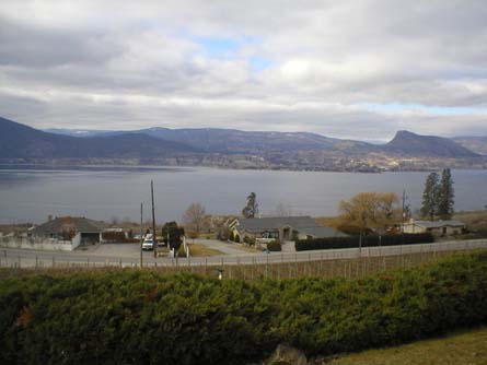 Naramata BC Vineyard and Home For Sale - Naramata, Canada - Wine Real Estate